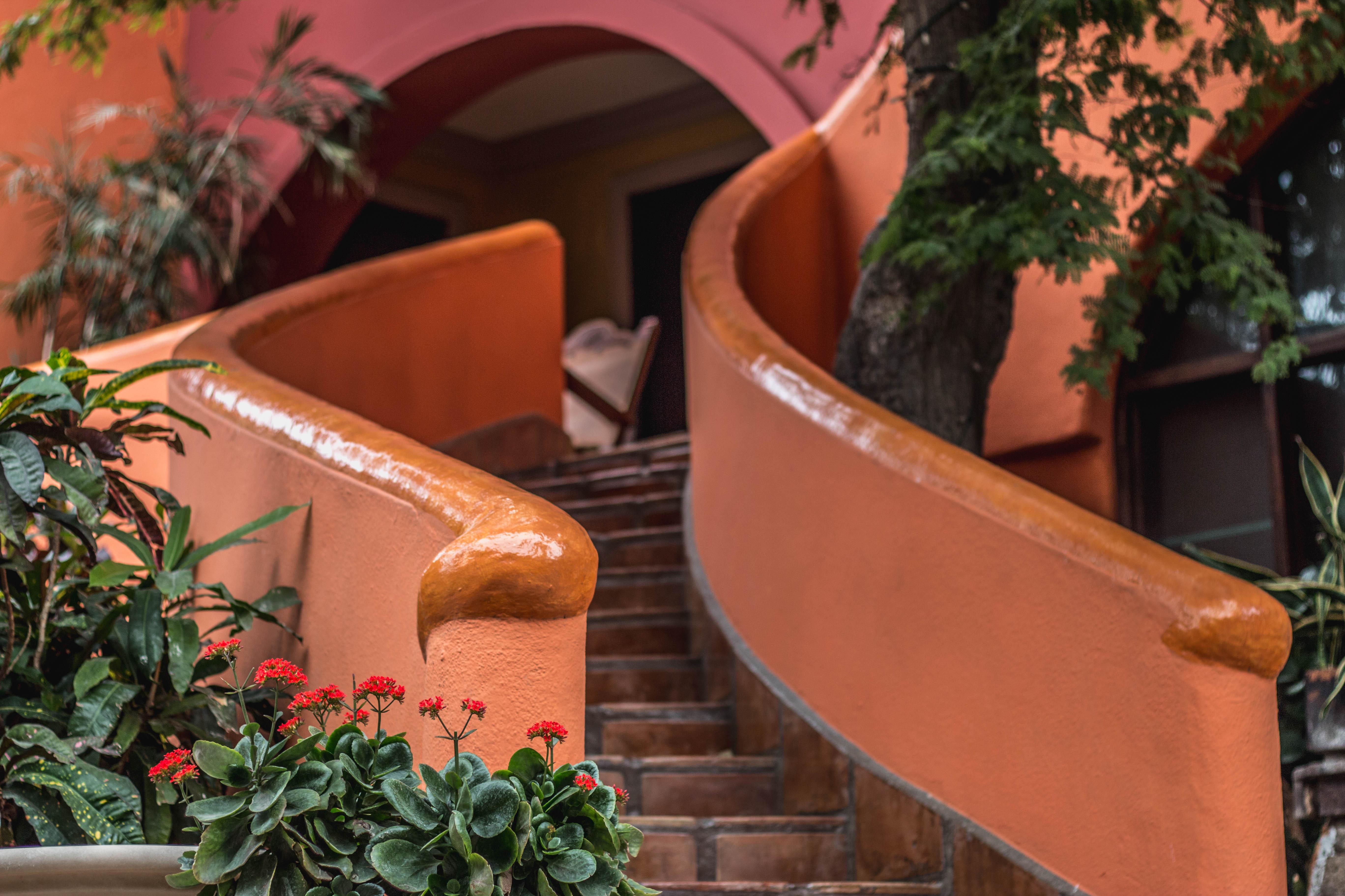 Collection O Casa Bella Hotel Boutique, Cabo San Lucas Eksteriør bilde